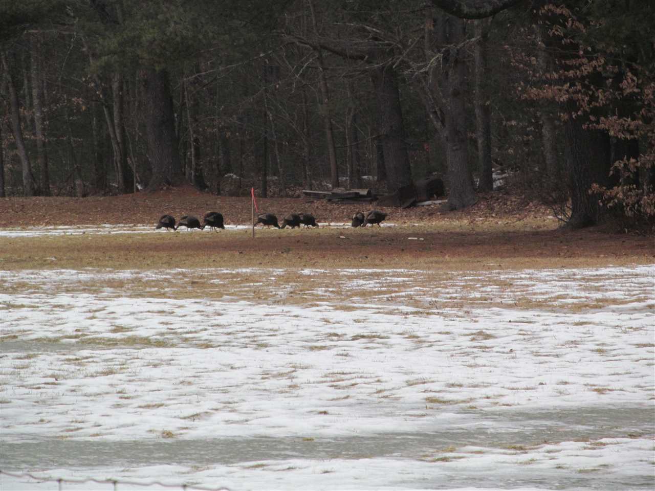 23 A Little River Road Berwick, ME 03901 - Photo 11 of 14 Gallery Image 11