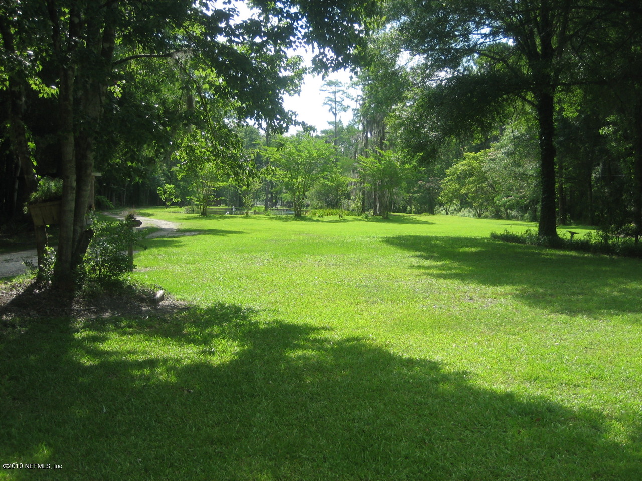 1164 Blair Road Jacksonville, FL 32221 - Photo 4 of 26 1164 Blair lush yard