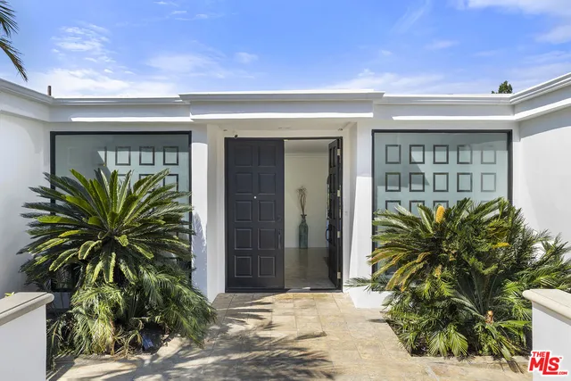 a potted plant in front of a building