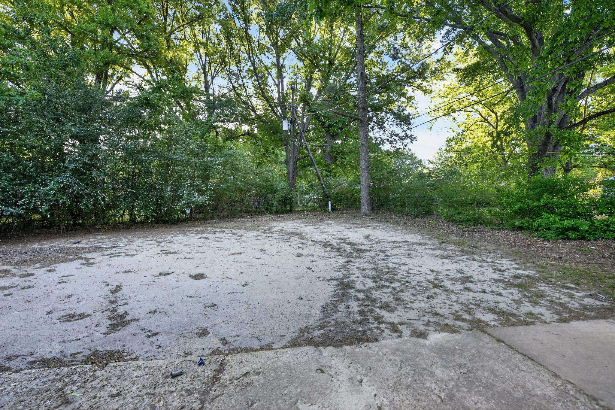 4504 Neely Road Memphis, TN 38109 - Photo 11 of 32 a view of a forest with trees in the background