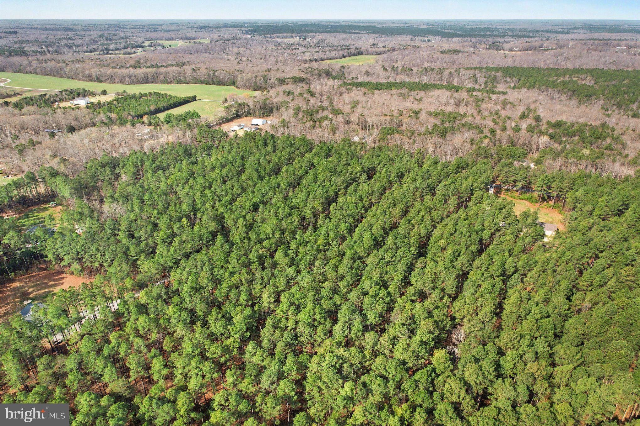 Carters's Gate Ruther Glen Ruther Glen, VA 22546 - Photo 2 of 5