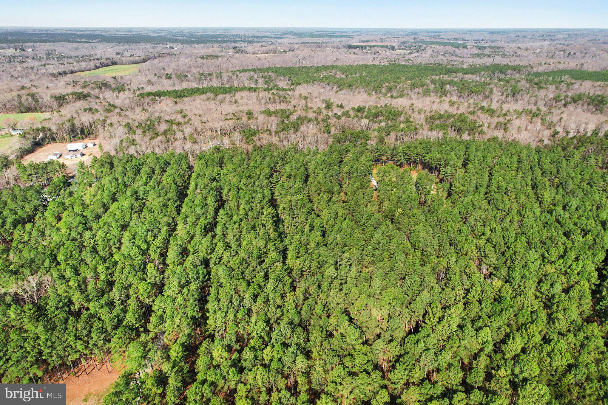 Carters's Gate Ruther Glen Ruther Glen, VA 22546 - Photo 3 of 5