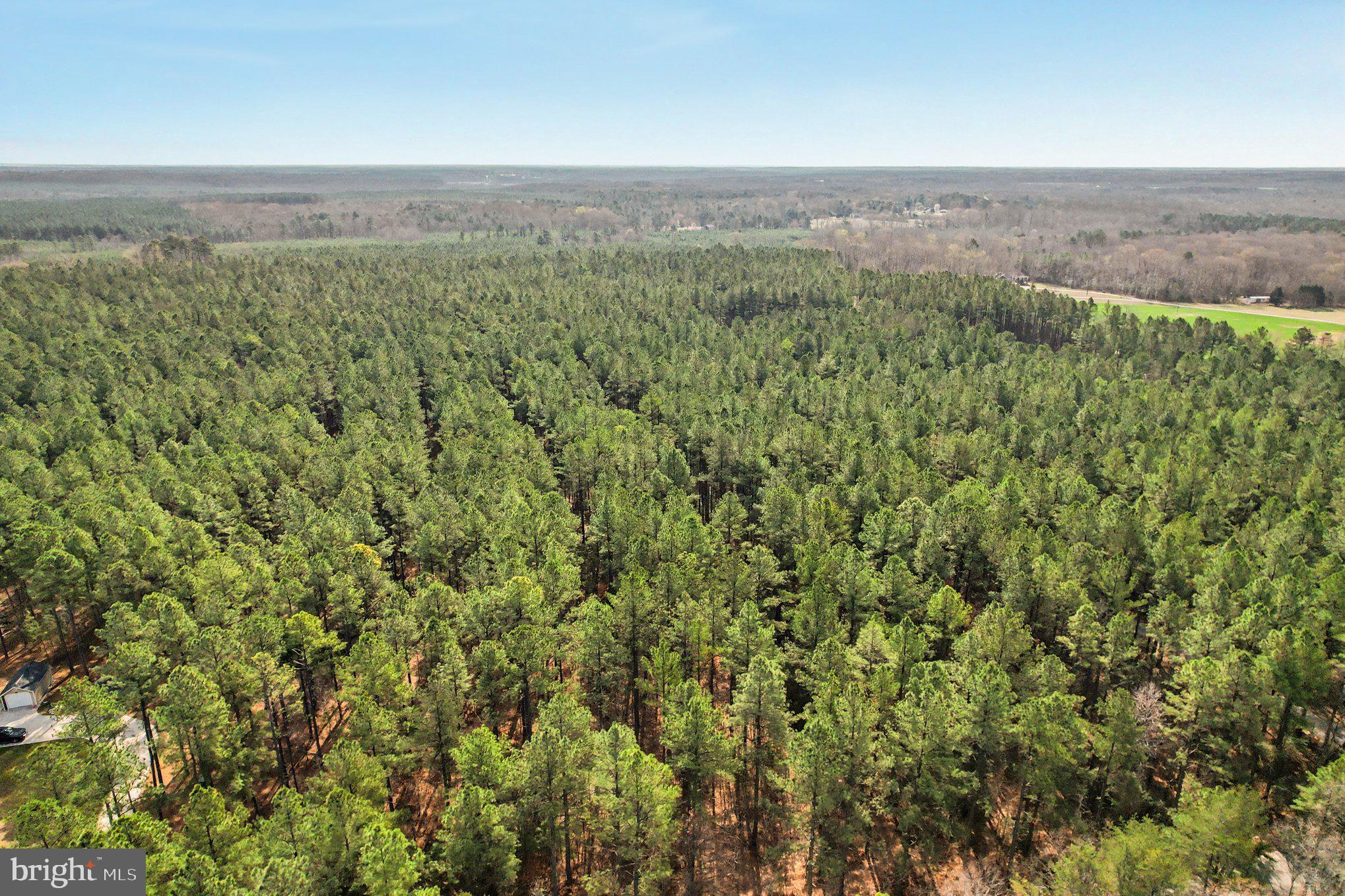 Carters's Gate Ruther Glen Ruther Glen, VA 22546 - Photo 4 of 5