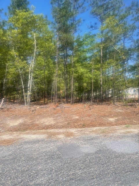 5605 Halley Road Rembert, SC 29128 - Photo 2 of 3