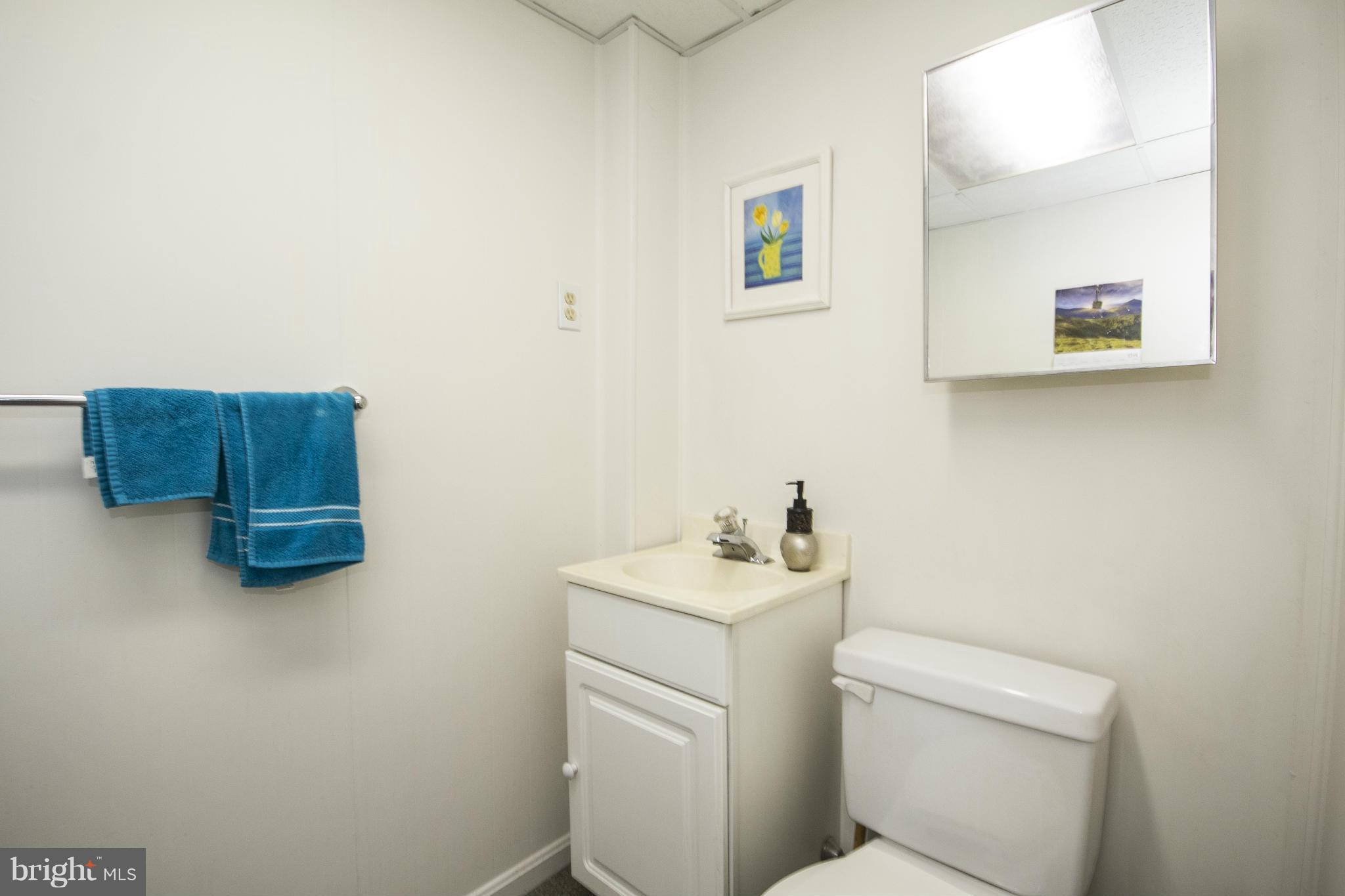 13726 Baldwin Mill Road Baldwin, MD 21013 - Photo 21 of 25 Bath