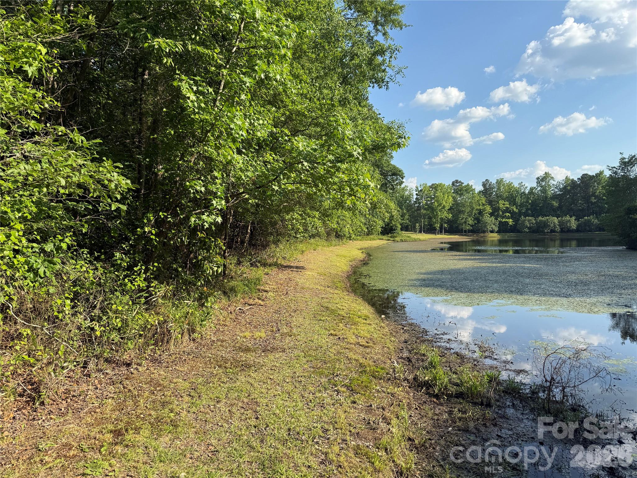 Tbd Murray Manor Lane Rockingham, NC 28379 - Photo 7 of 20