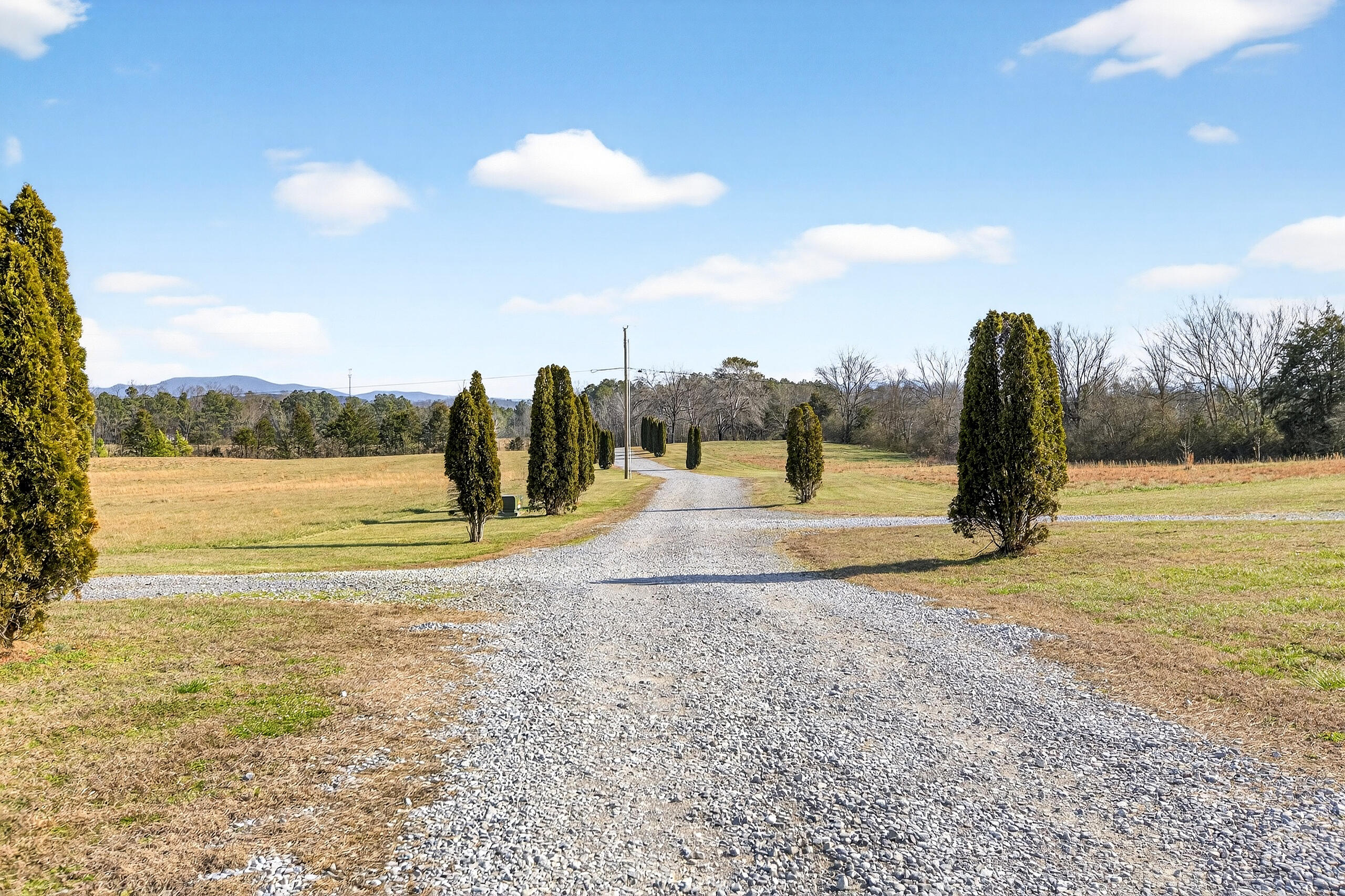229 Davis Lane Old Fort, TN 37362 - Photo 41 of 46 007_349A9237