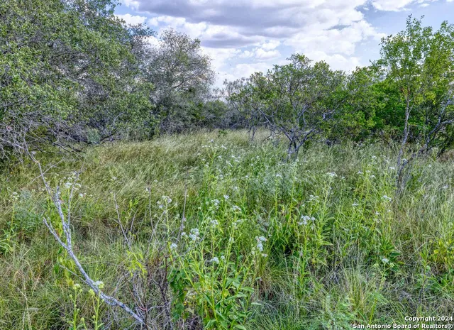$180,000 | 0 Utopia Forest, D'Hanis, TX 78850