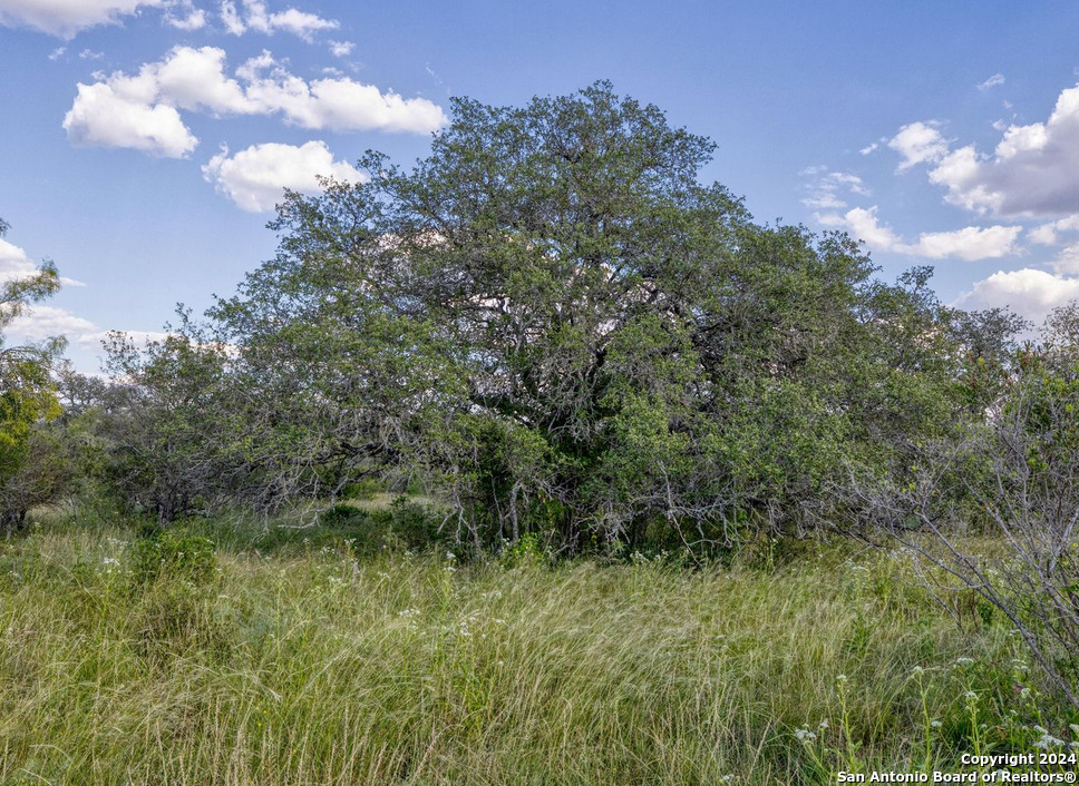0 Utopia Forest D'Hanis, TX 78850 - Photo 19 of 31