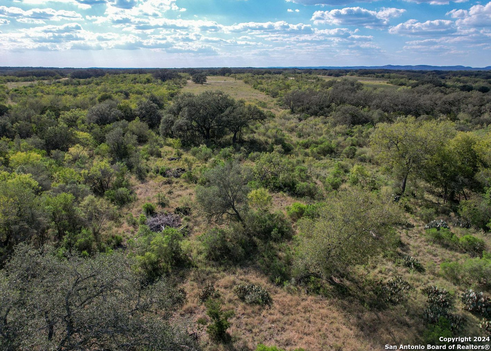 0 Utopia Forest D'Hanis, TX 78850 - Photo 2 of 31