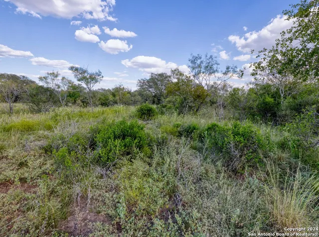 $180,000 | 0 Utopia Forest, D'Hanis, TX 78850