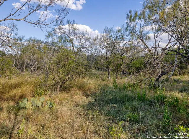 $180,000 | 0 Utopia Forest, D'Hanis, TX 78850