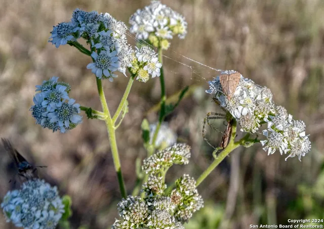 $180,000 | 0 Utopia Forest, D'Hanis, TX 78850