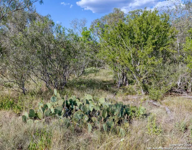 $180,000 | 0 Utopia Forest, D'Hanis, TX 78850