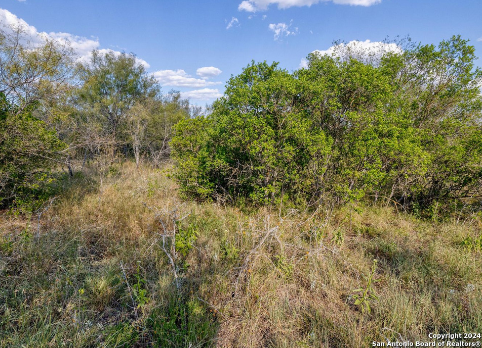 0 Utopia Forest D'Hanis, TX 78850 - Photo 27 of 31