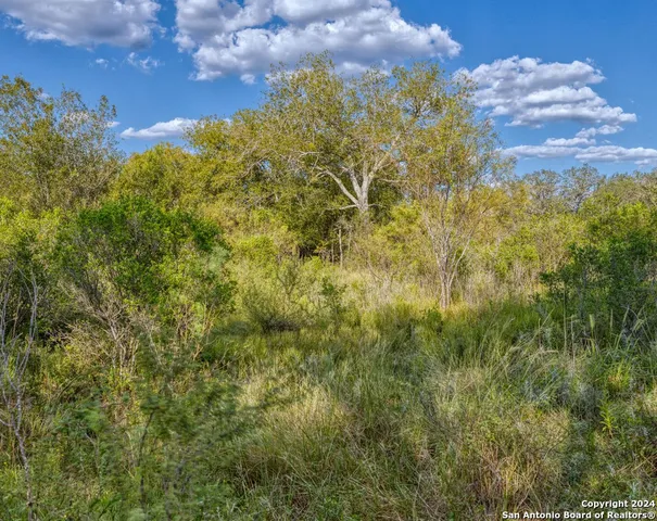 $180,000 | 0 Utopia Forest, D'Hanis, TX 78850