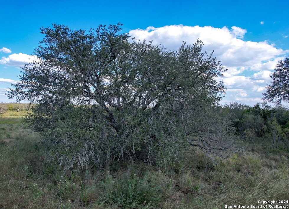 0 Utopia Forest D'Hanis, TX 78850 - Photo 31 of 31