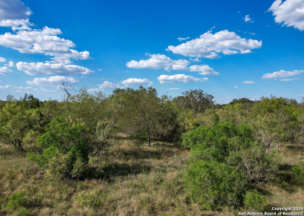 0 Utopia Forest D'Hanis, TX 78850 - Photo 9 of 31