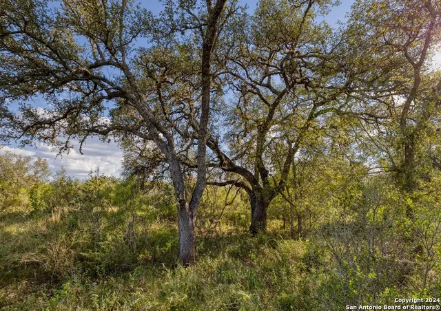 $180,000 | 0 Utopia Forest, D'Hanis, TX 78850