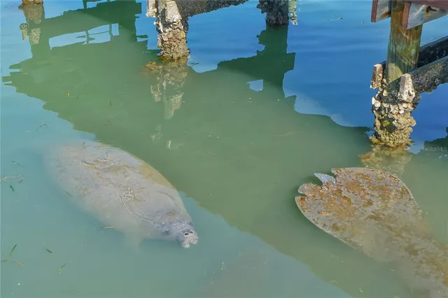 $560,000 | 771 John Ringling Boulevard, Unit 7, Sarasota, FL 34236