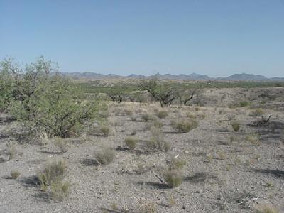 12403 West Arivaca Road, Unit B Amado, AZ 85645 - Photo 2 of 6