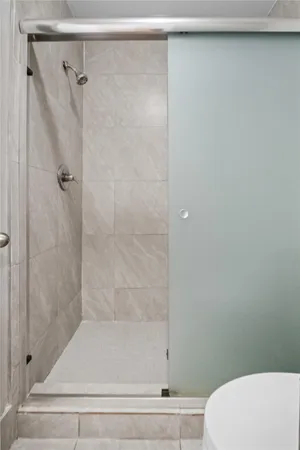 a bathroom with a shower and a toilet