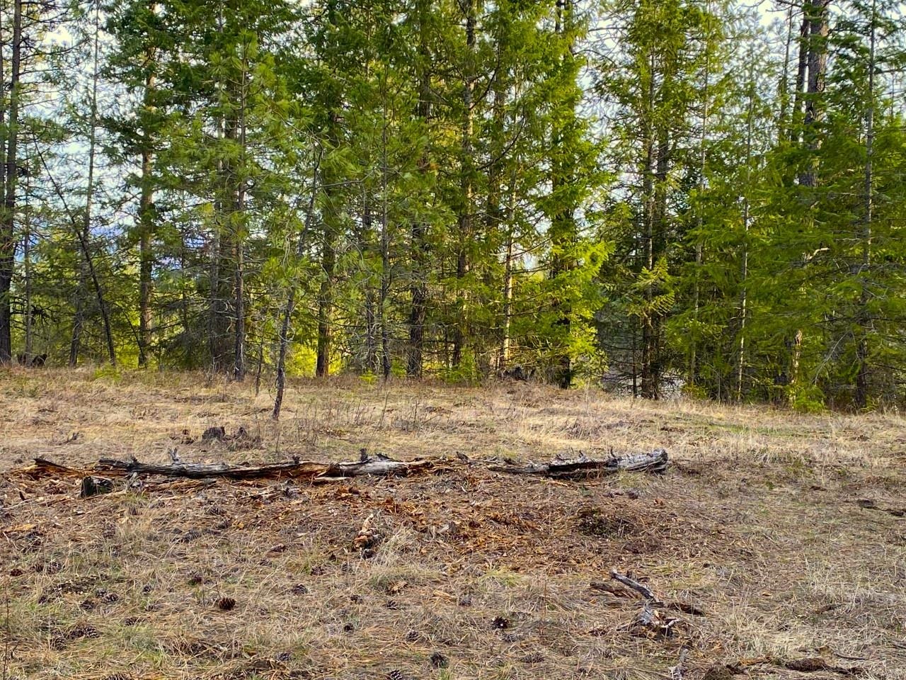 44-xx Cemetery Road Springdale, WA 99173 - Photo 6 of 21