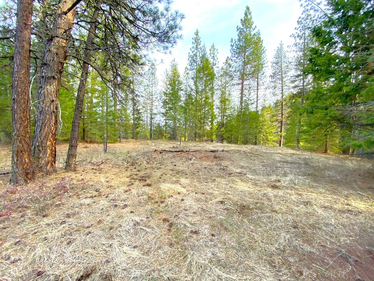 44-xx Cemetery Road Springdale, WA 99173 - Photo 7 of 21