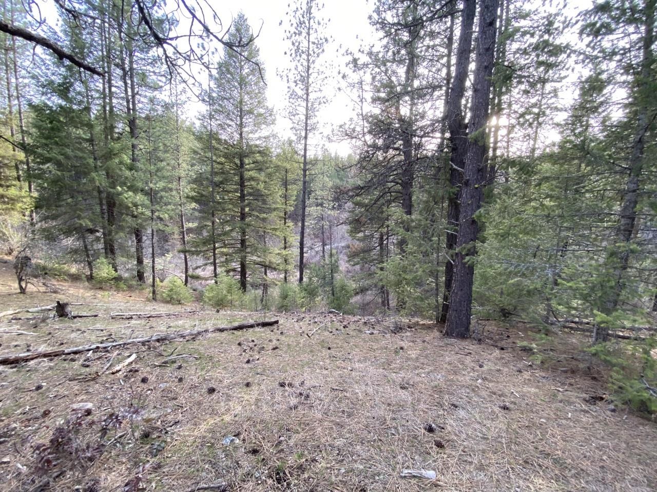44-xx Cemetery Road Springdale, WA 99173 - Photo 8 of 21