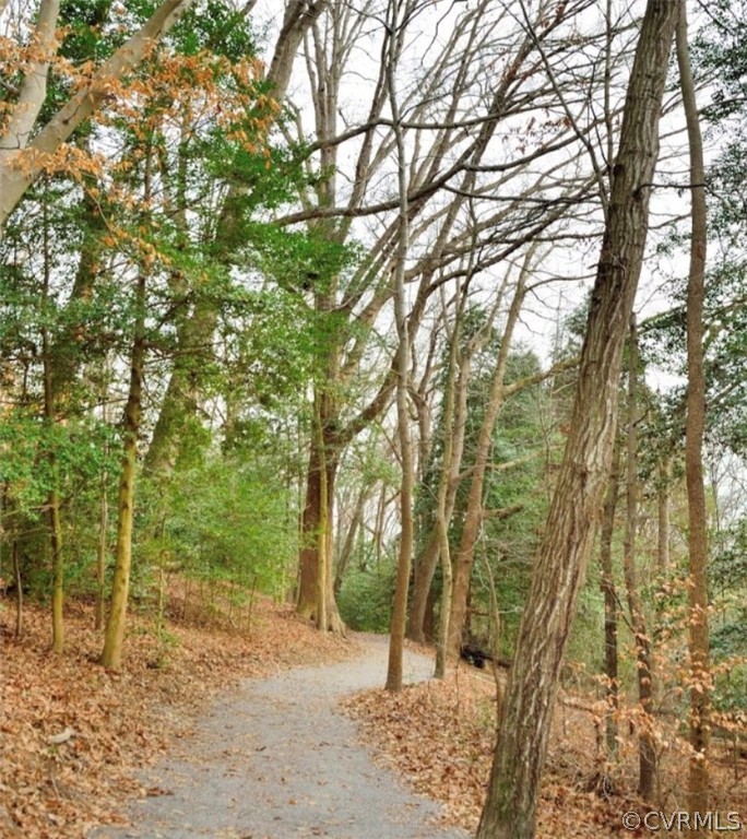 1603 Enon Church Road Chester, VA 23836 - Photo 28 of 32 Walking Trail @ Dodd Park right down the road ~ th