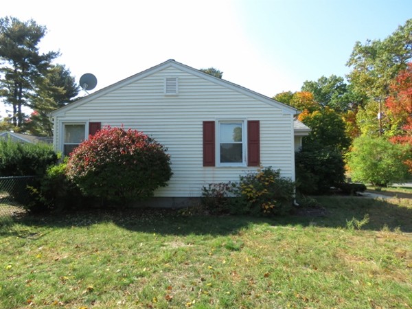 747 North Branch Parkway Springfield, MA 01119 - Photo 4 of 18 a view of backyard with potted plants and large tree