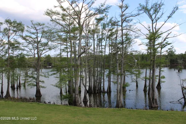 $250,000 | 119 Bungalow Lane, Tchula, MS 39169