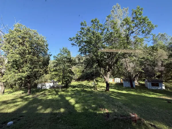 a view of a field with a tree