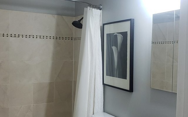 714 East Algonquin Road, Unit J205 Arlington Heights, IL 60005 - Photo 11 of 14 a bathroom with a glass shower door