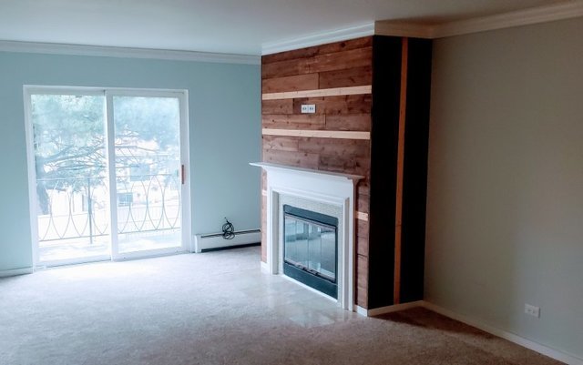 714 East Algonquin Road, Unit J205 Arlington Heights, IL 60005 - Photo 4 of 14 a view of an empty room with a fireplace and a window