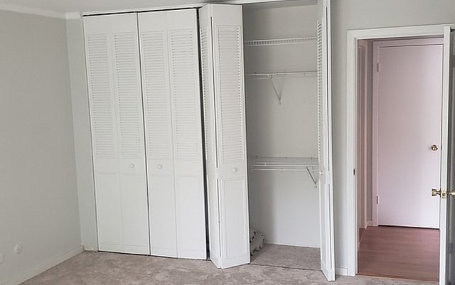 714 East Algonquin Road, Unit J205 Arlington Heights, IL 60005 - Photo 6 of 14 a view of closet area