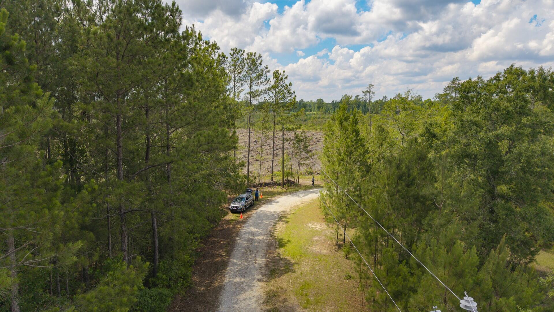 6222 Saints Delight Road Georgetown, SC 29440 - Photo 17 of 31 Saint Delight 2 Acres-14