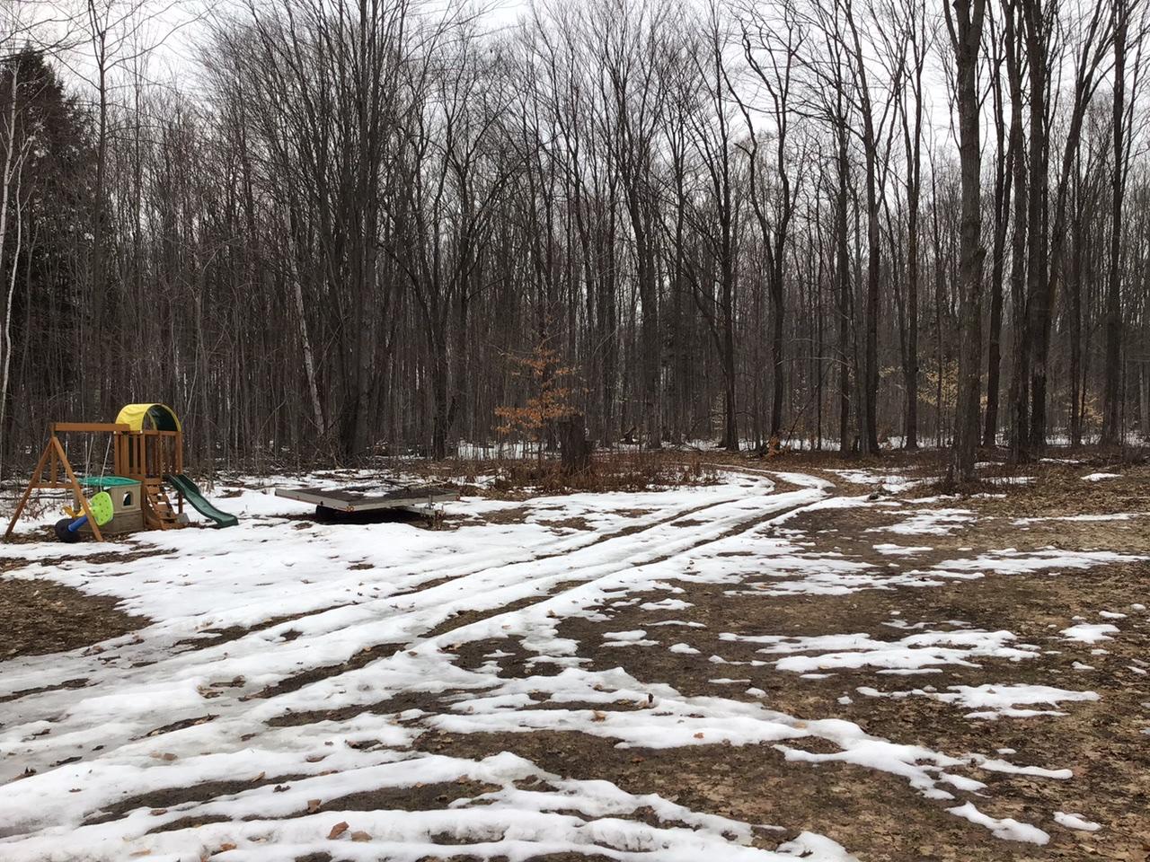 9185 Banwell Road Alanson, MI 49706 - Photo 10 of 46 Gallery Image 10