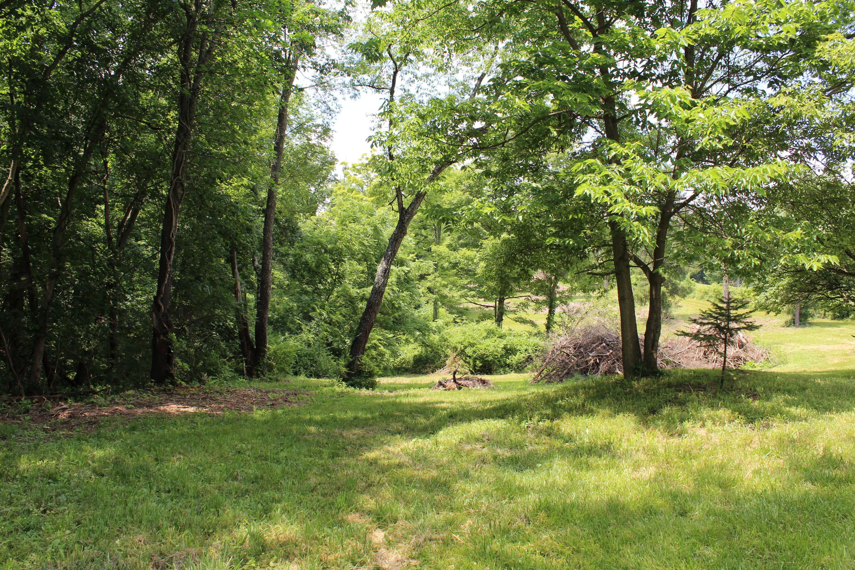 8870 Olentangy River Road Powell, OH 43065 - Photo 16 of 61 IMG_6694