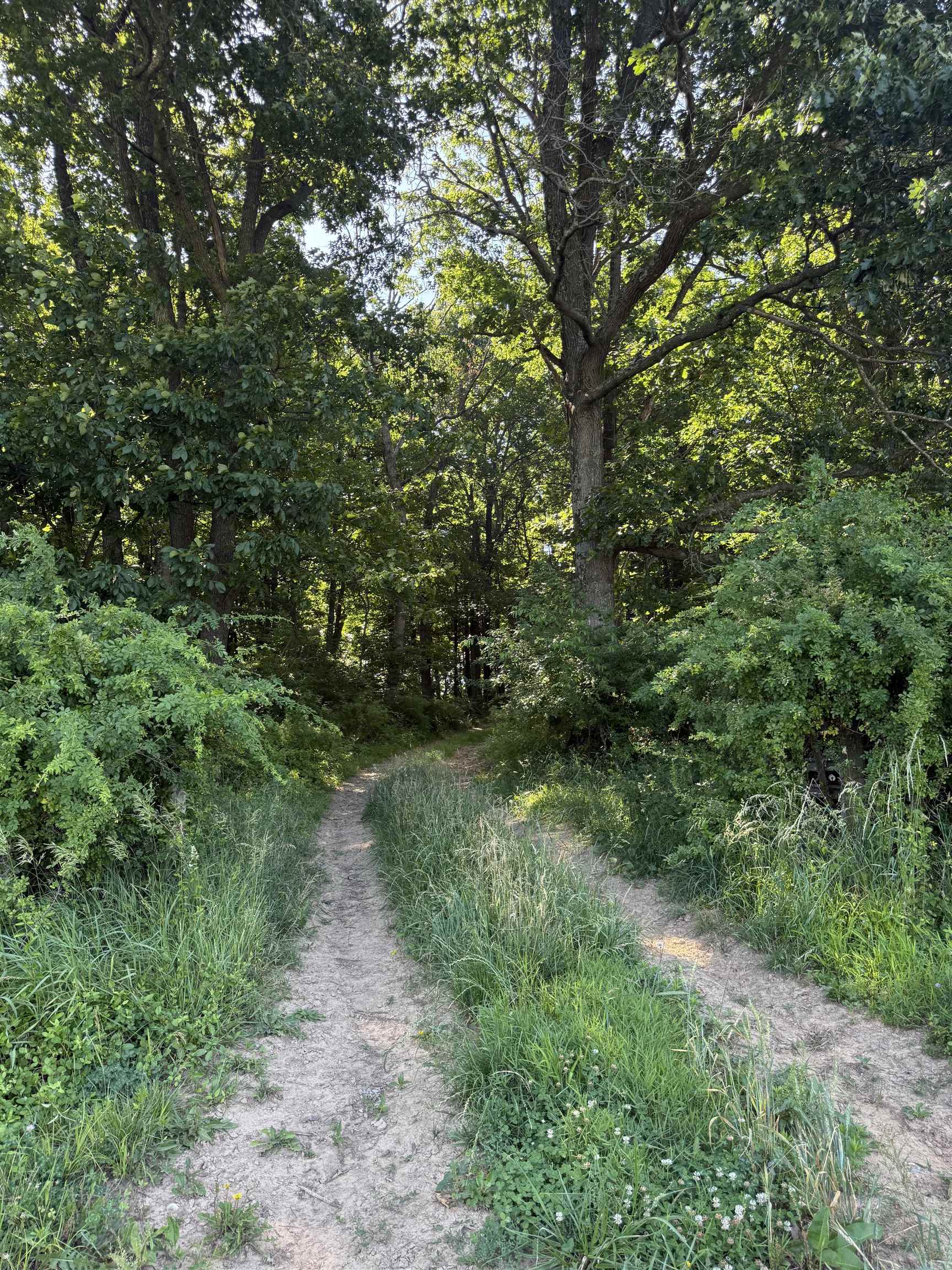 Tbd Arborhill Road Staunton, VA 24401 - Photo 22 of 25
