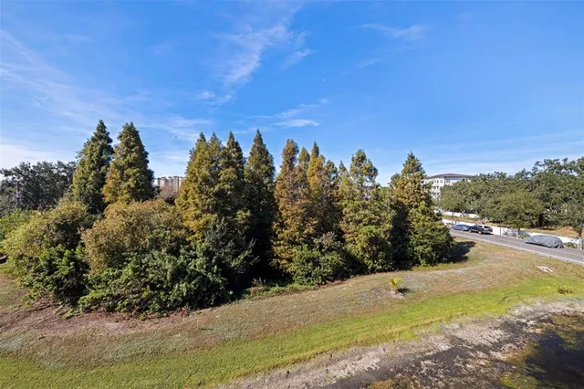 a view of a yard with an trees