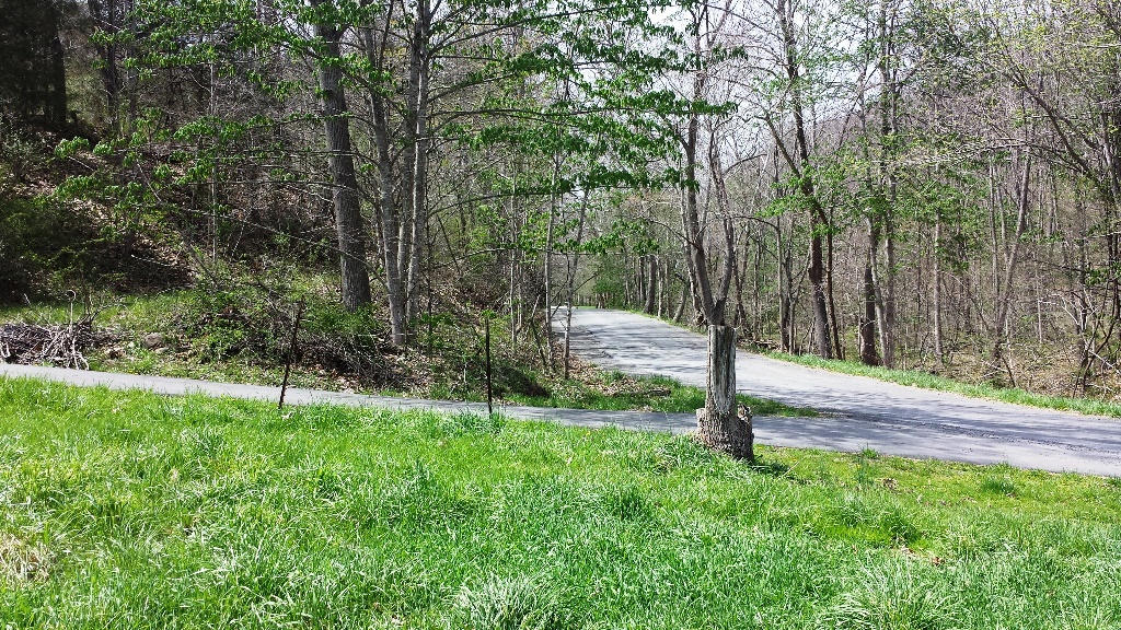 Clayton Road Alderson, WV 24910 - Photo 6 of 43 Gallery Image 6