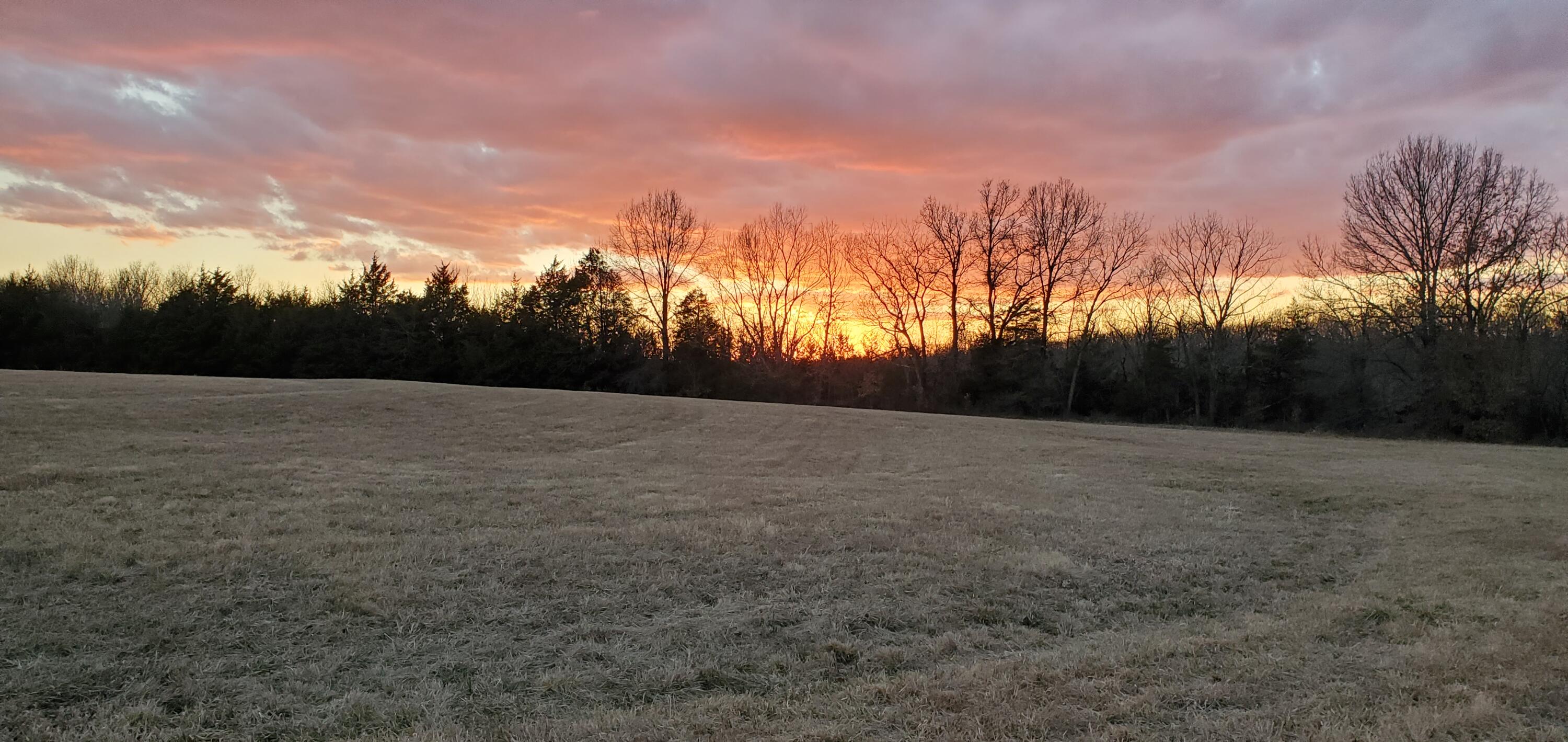 4775 South 50th Road Aldrich, MO 65601 - Photo 139 of 306 20220124_172730