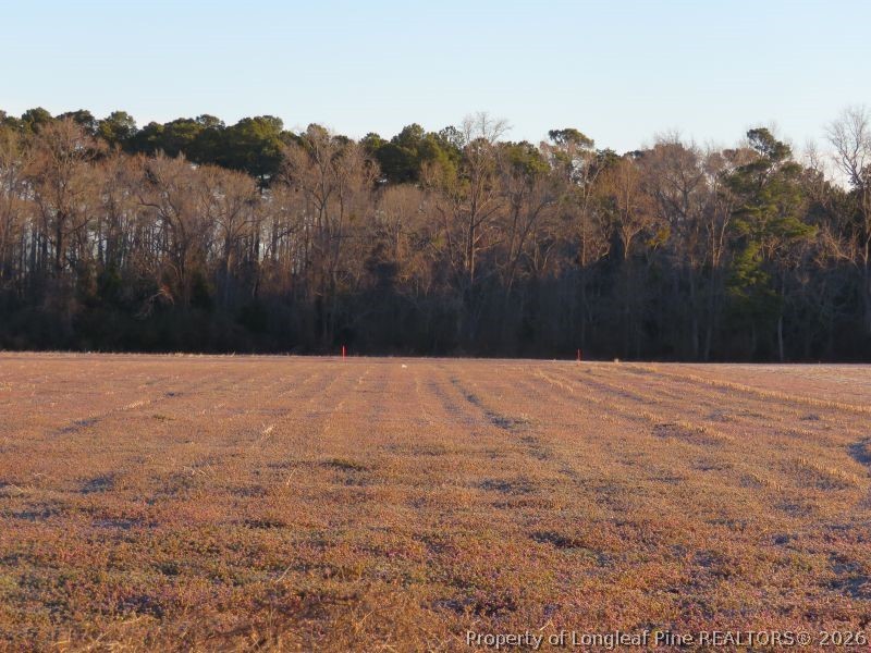East Raynham Road Fairmont, NC 28340 - Photo 4 of 8 a view of outdoor space and mountain view