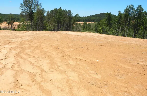 $85,000 | 101 Hugh White State Pk Road, Grenada, MS 38901