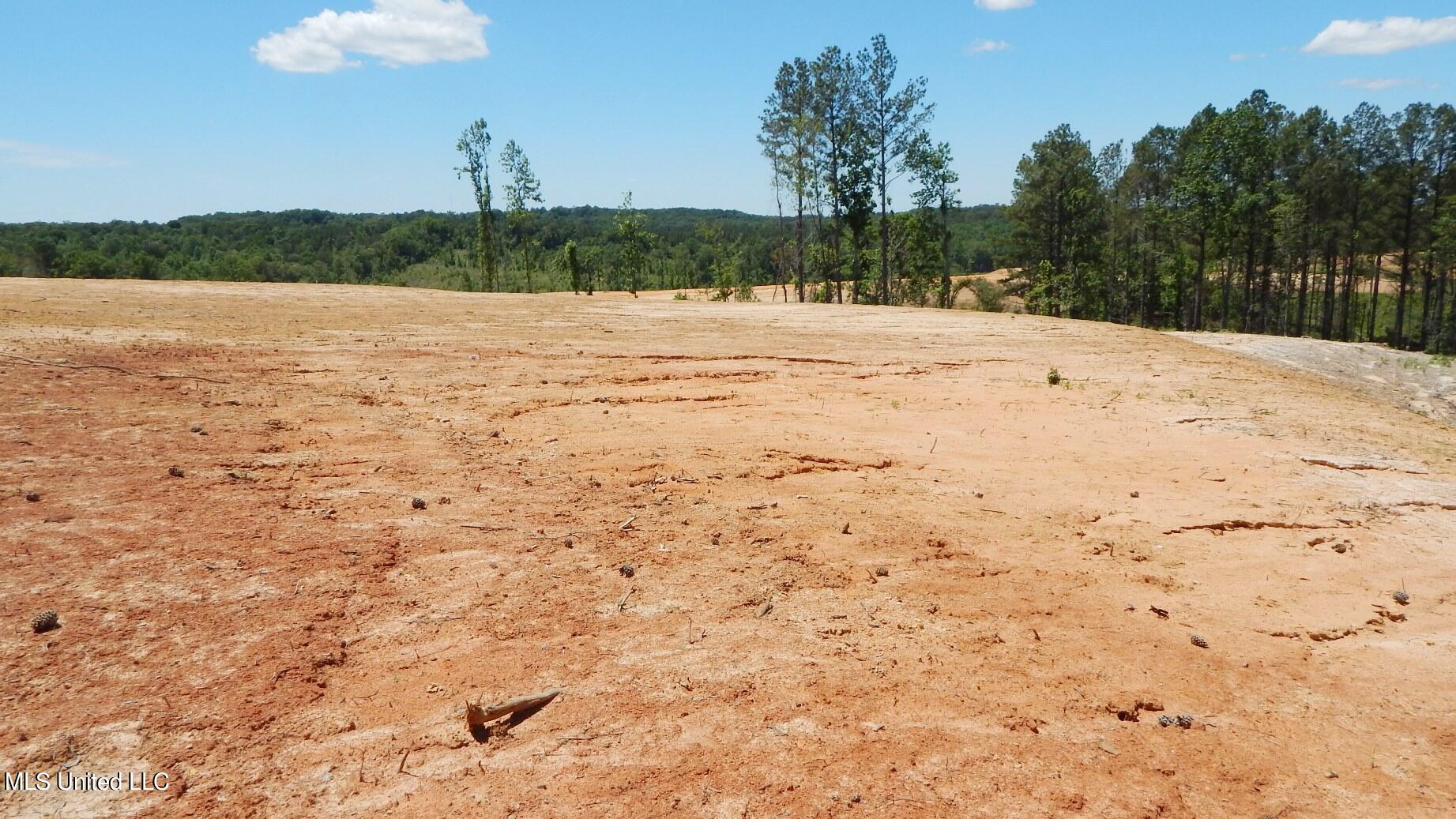 101 Hugh White State Pk Road Grenada, MS 38901 - Photo 2 of 15 DSCN5145