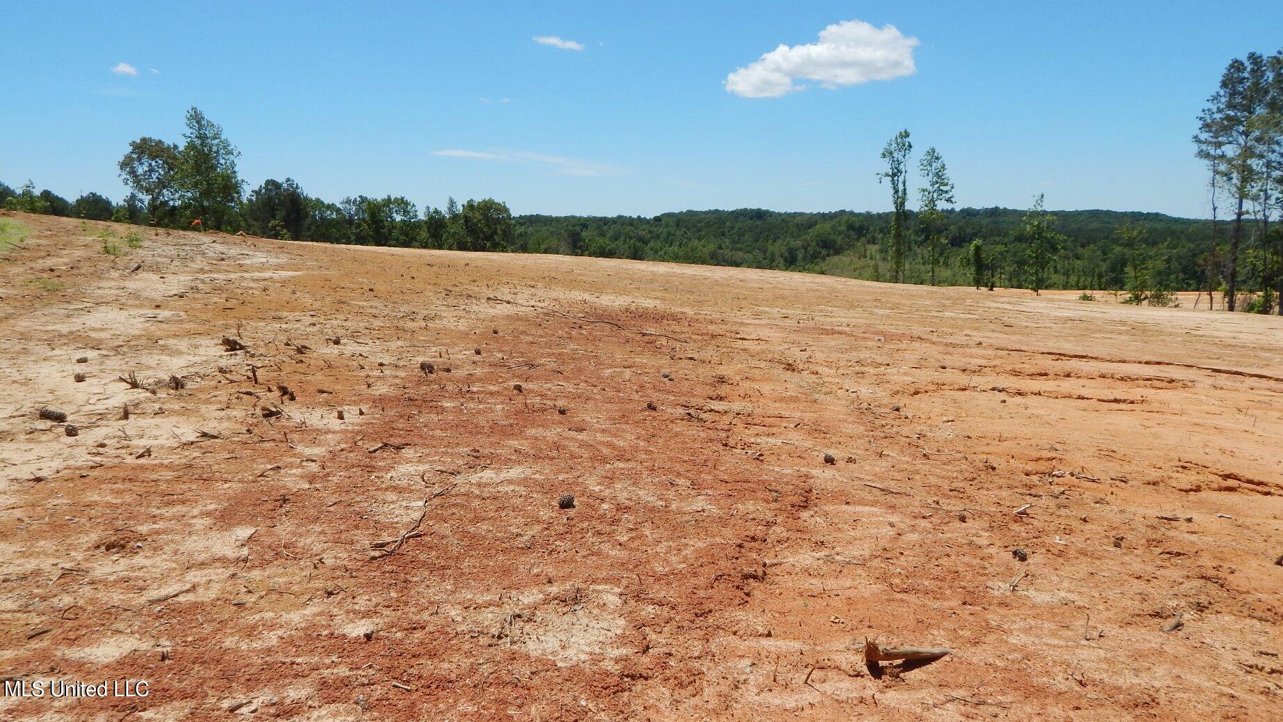 101 Hugh White State Pk Road Grenada, MS 38901 - Photo 3 of 15 DSCN5146