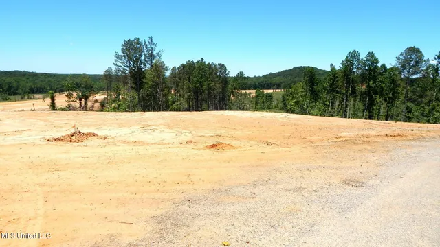 $85,000 | 101 Hugh White State Pk Road, Grenada, MS 38901