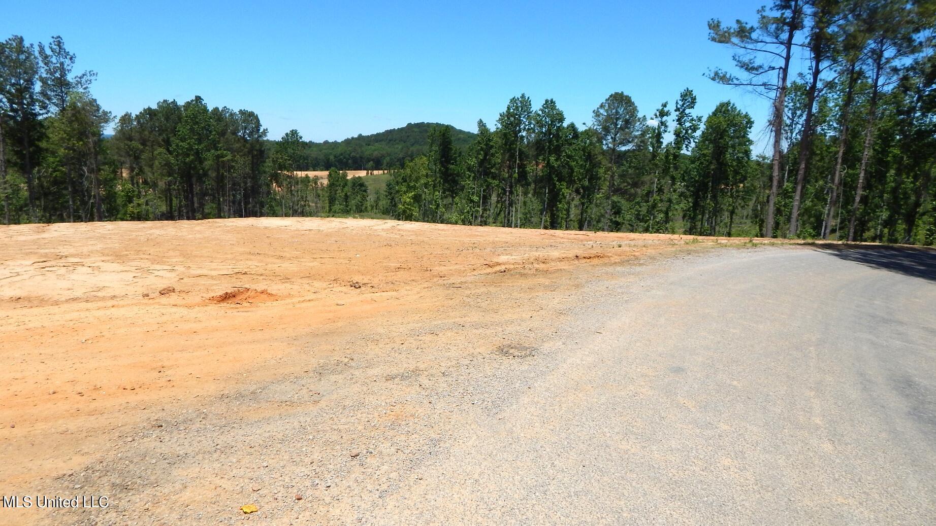 101 Hugh White State Pk Road Grenada, MS 38901 - Photo 5 of 15 DSCN5058
