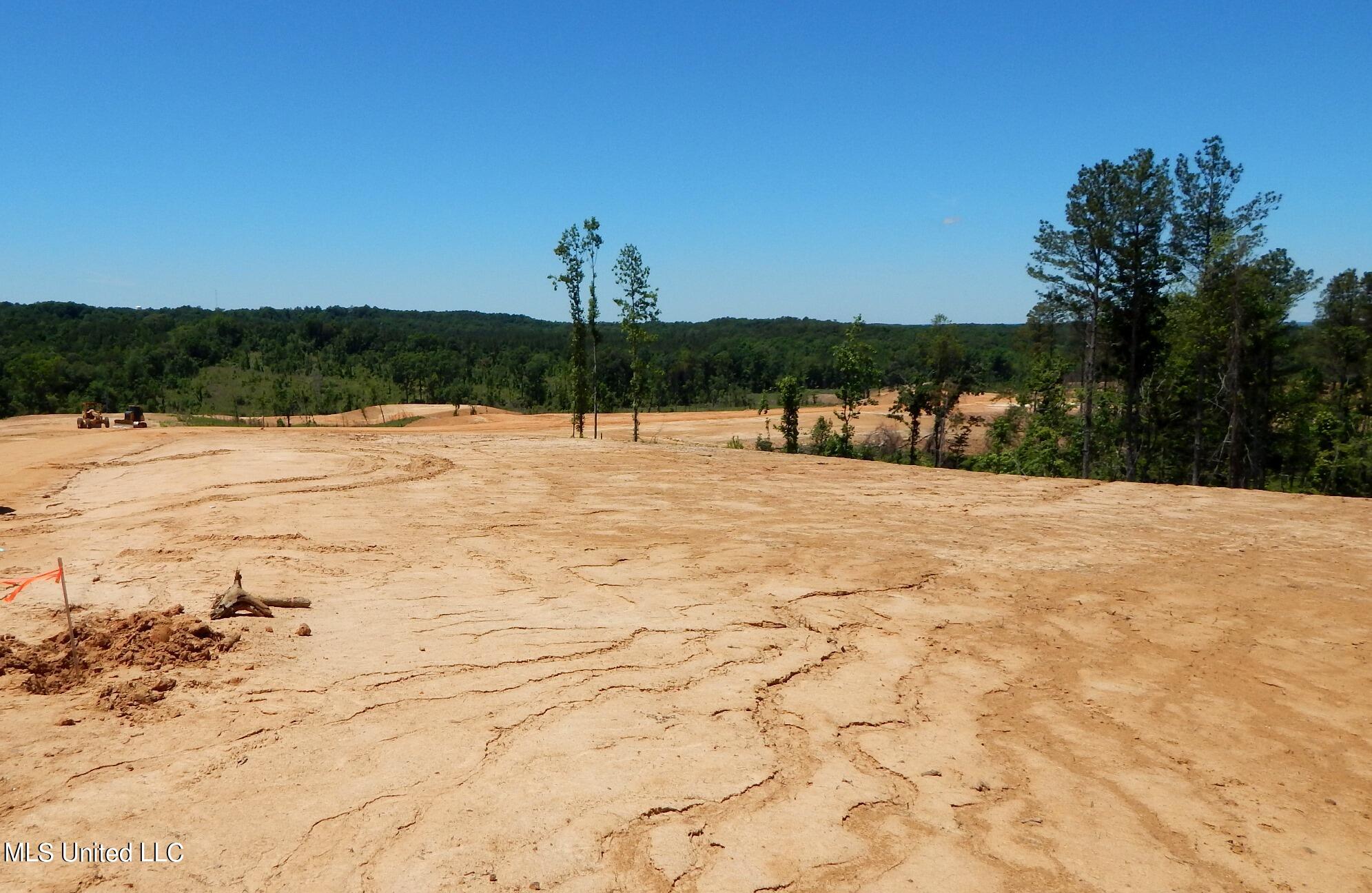101 Hugh White State Pk Road Grenada, MS 38901 - Photo 7 of 15 DSCN5059